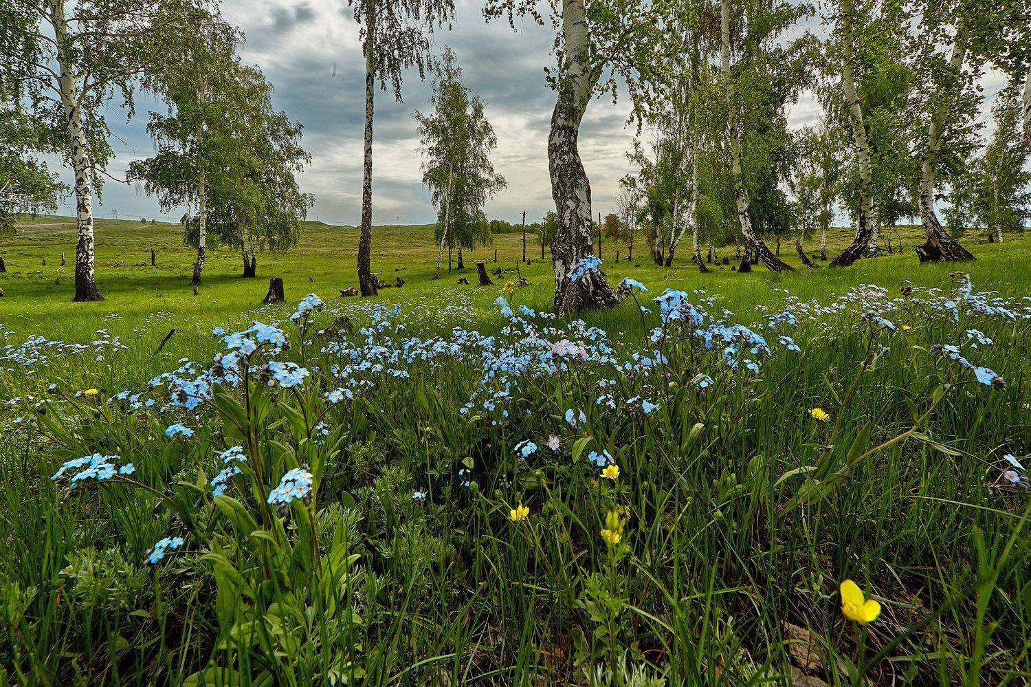 южный урал,оренбургская область, орск, новотроицк,, Качурин Алексей