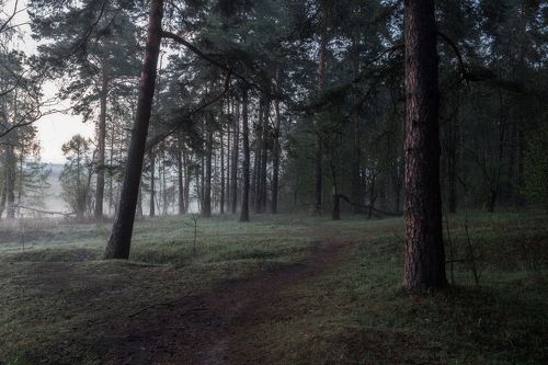 Замирание перед рассветом