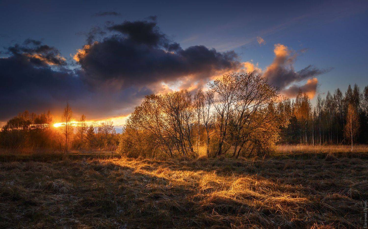 , Евгений Луцко