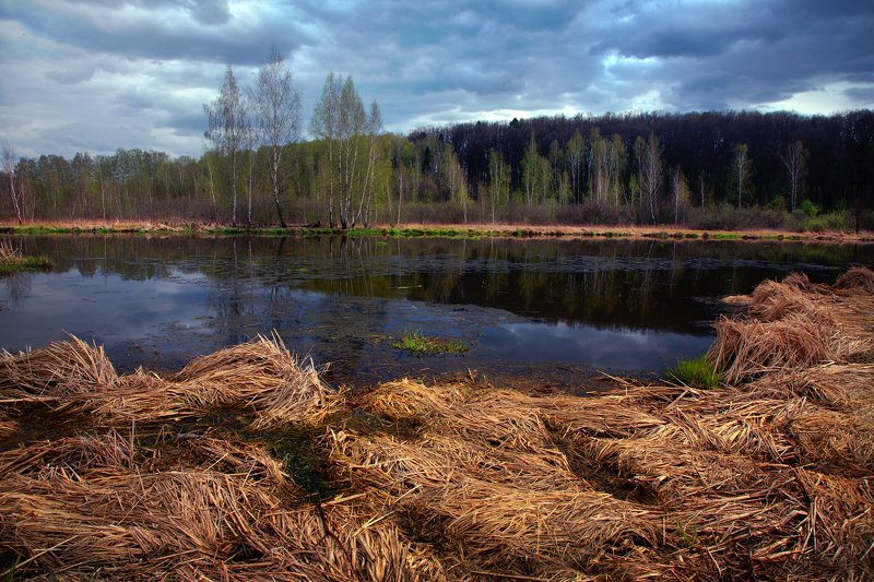 р.Клязьма фото превью