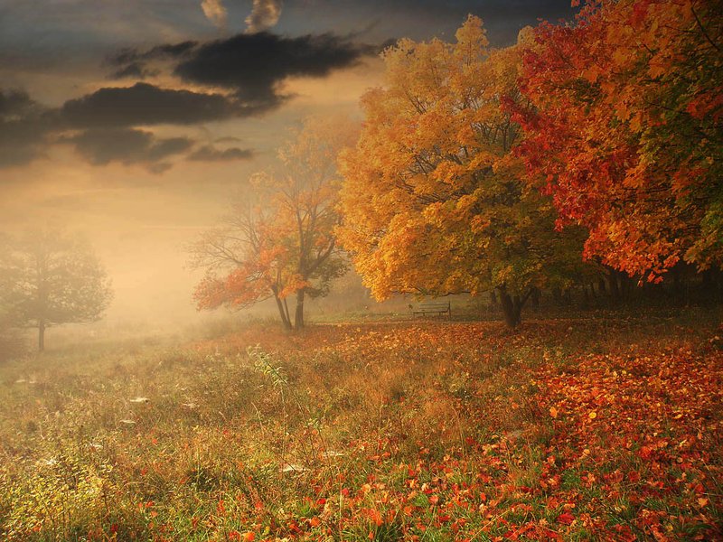 листопад фото превью