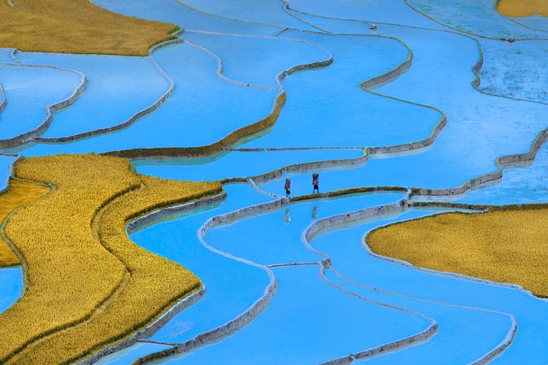 #terrace#Waterfall_Season#Mu_Cang_Chai#North_VietNam#CongPham Return in terrace water fall season  фото превью