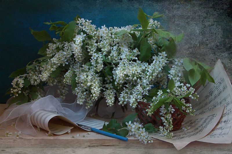 Мелодия сердца фото превью