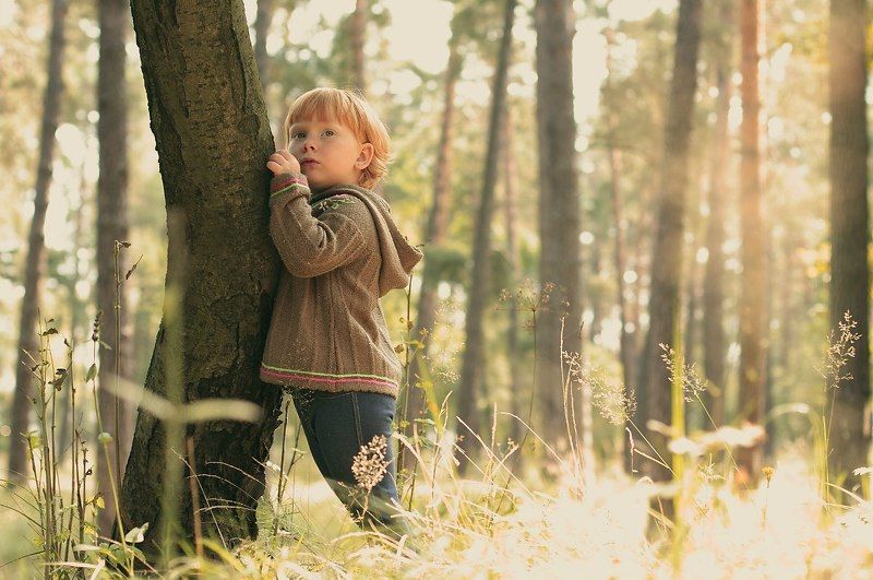 В ожидании холодов фото превью