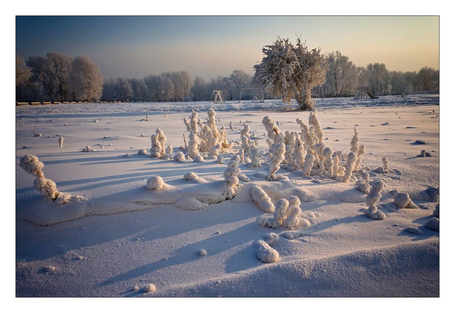 , Криволуцкий Игорь