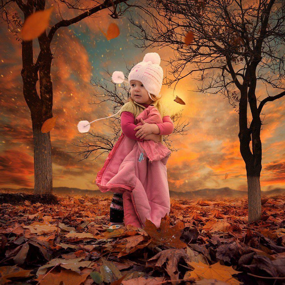 , Caras Ionut