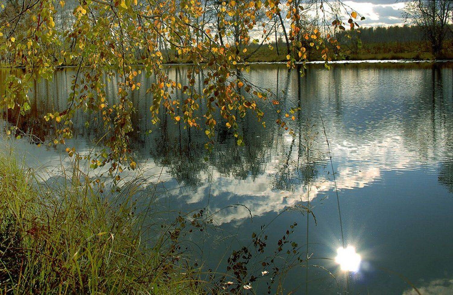 , Николай Морский