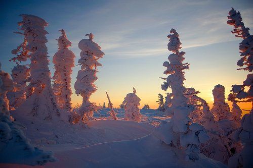Вечер на горе Зеленая - этюды в контровом свете