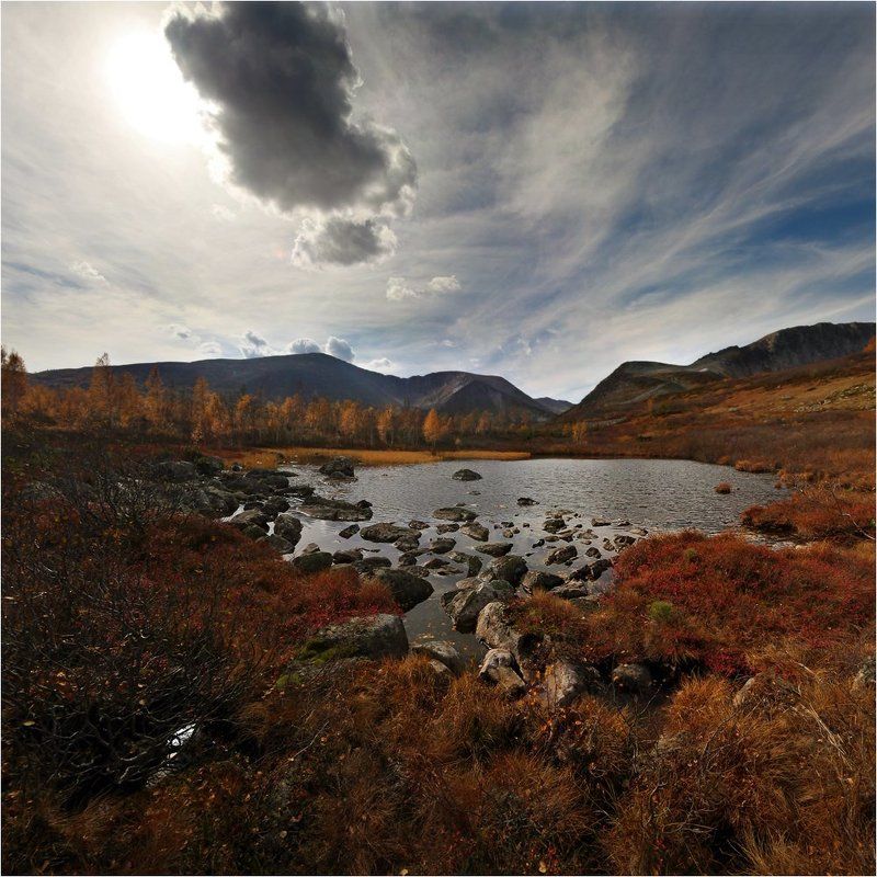 за первым снегом фото превью