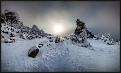 Верблюды в Облаках