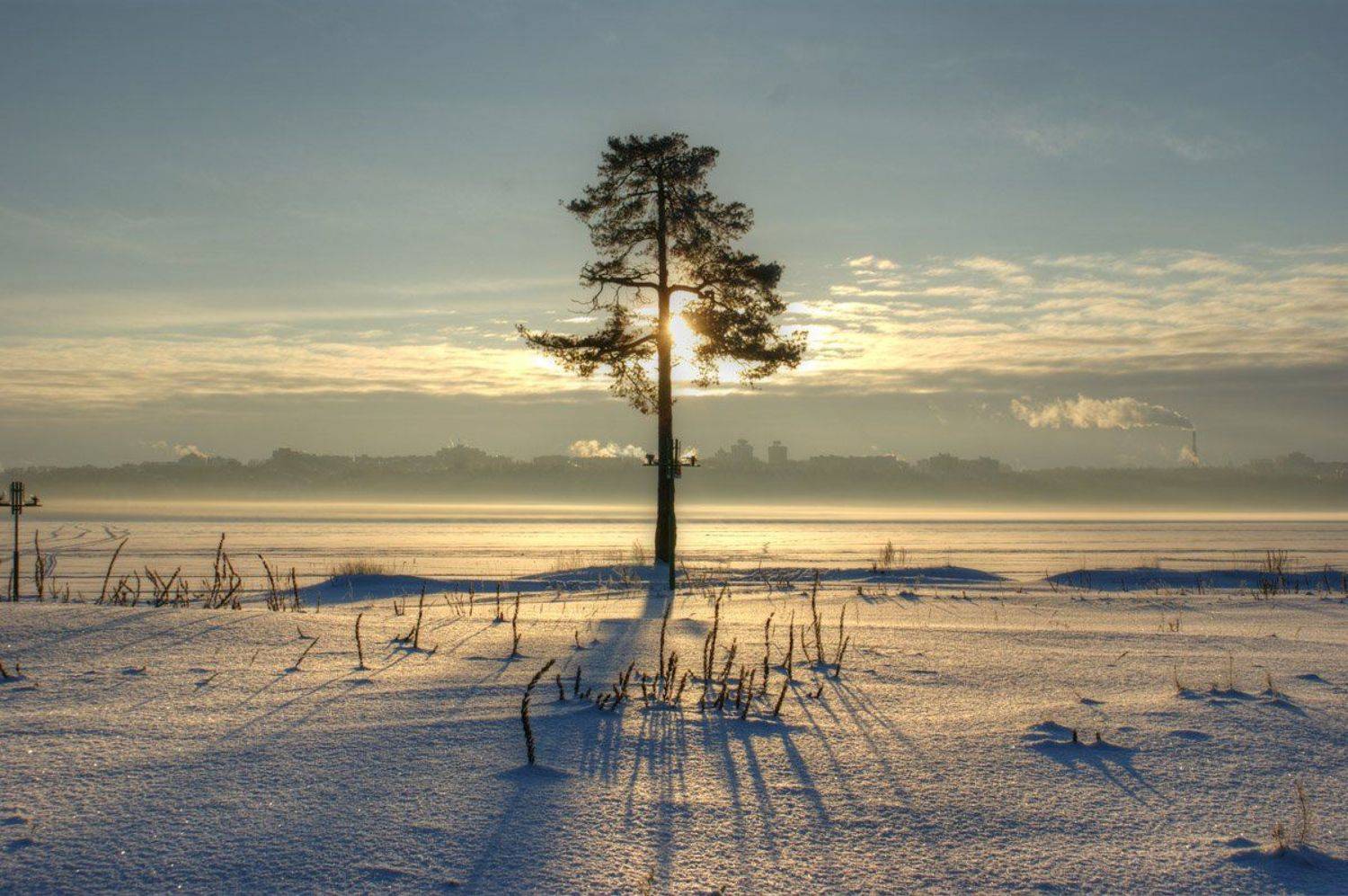 , Лёня Семёнов