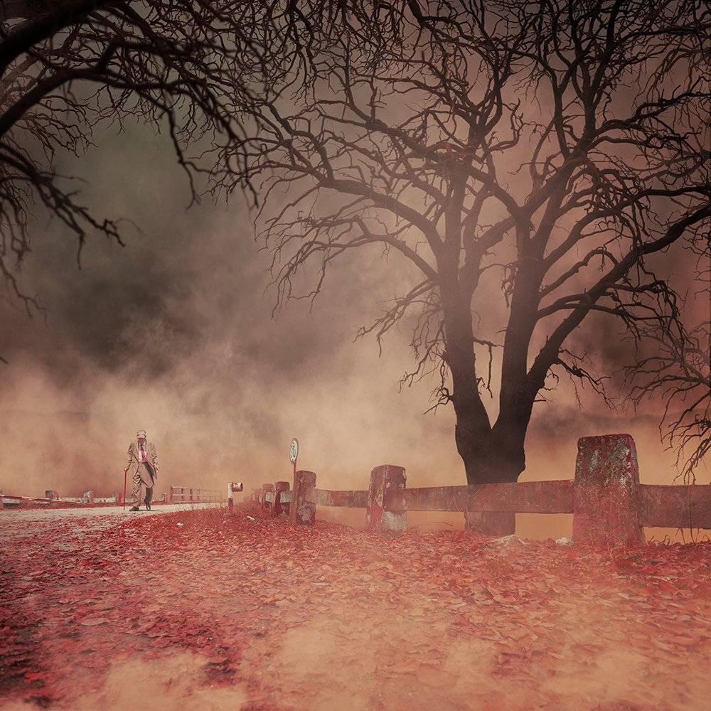 , Caras Ionut