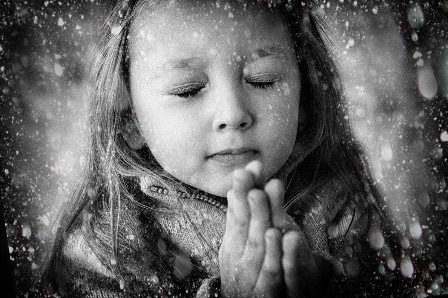 , Шульга Екатерина