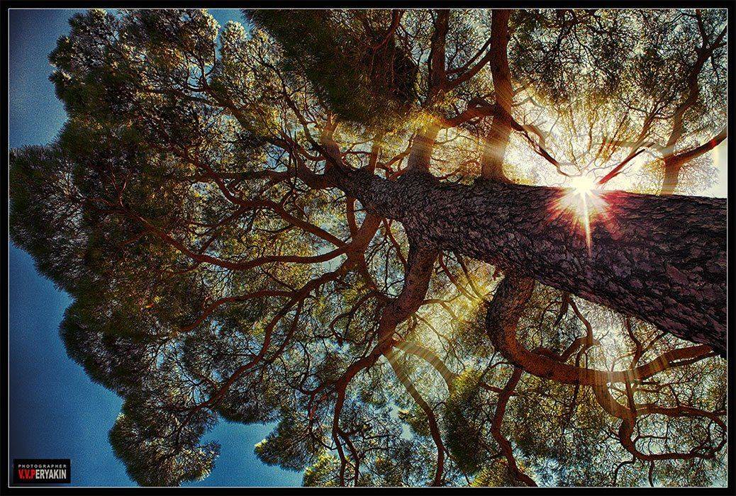 , Виктор Перякин