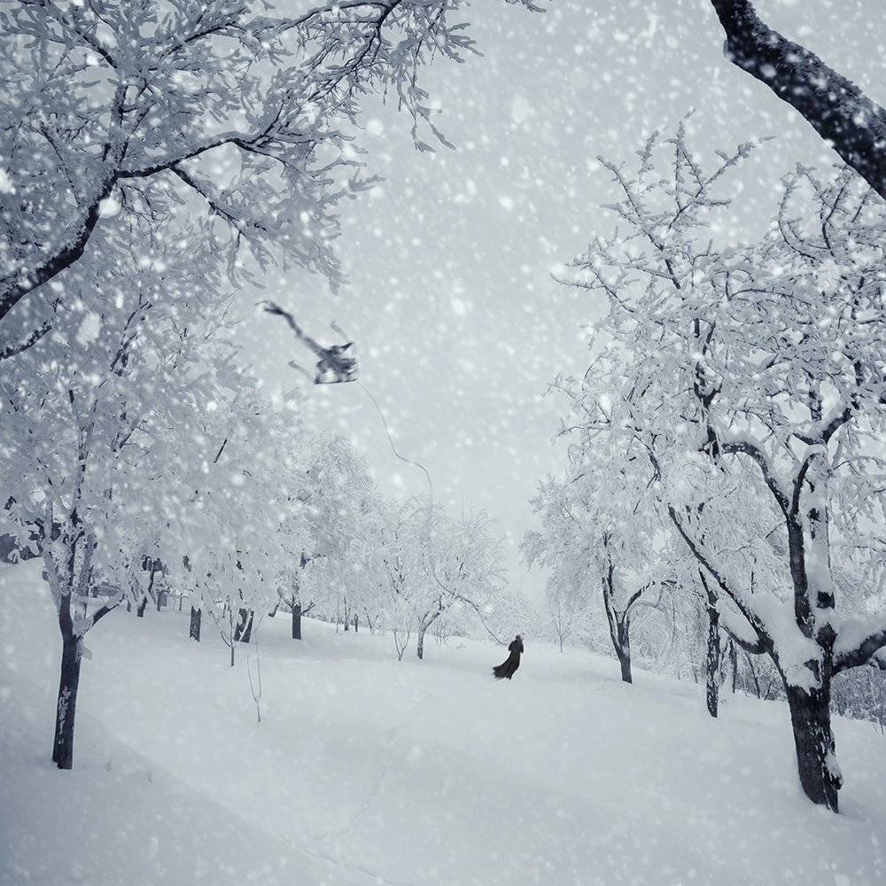 , Caras Ionut