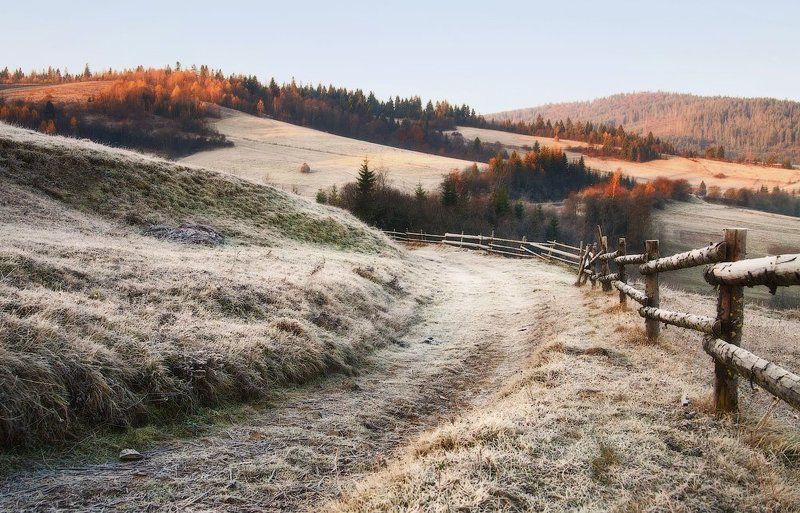 карпаты, осень, утро, свет, лес, иней ...Утром... фото превью