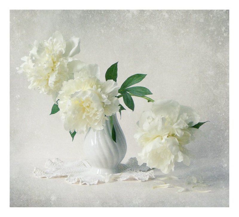 СНежность фото превью