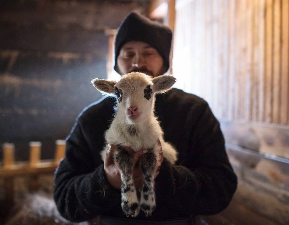 , Андрей Хитайленко