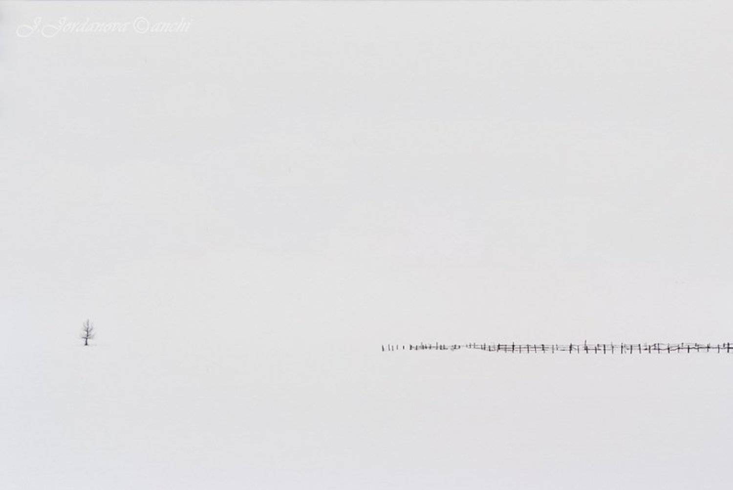 , Jordanka Jordanova