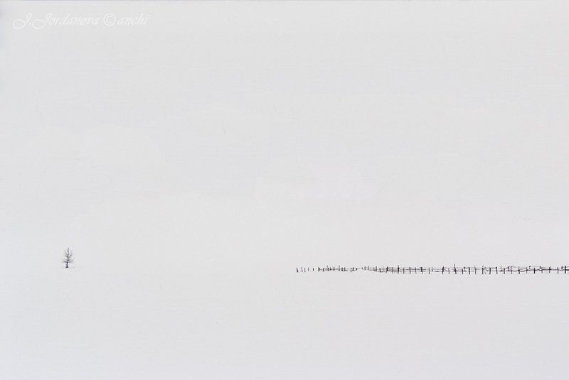 black and white фото превью