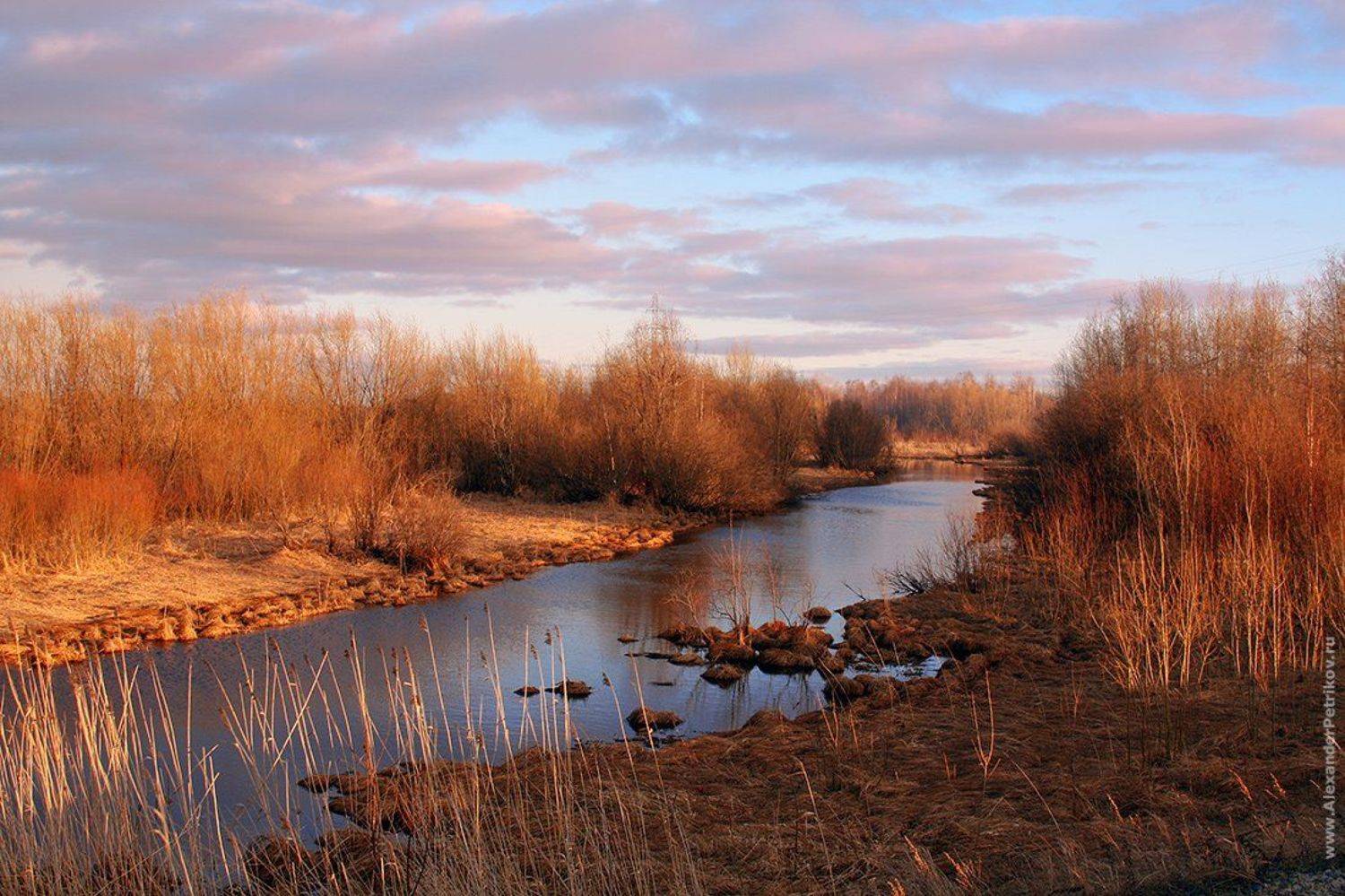 осень, небо, лес, река, закат, Александр Петриков