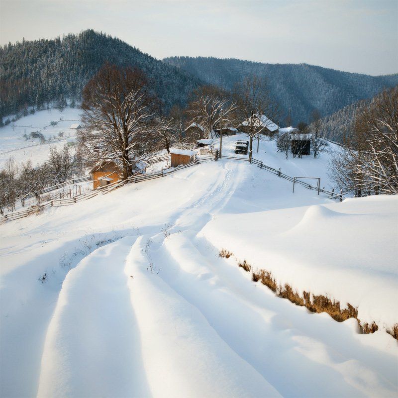 карпаты, природа, пейзаж *** фото превью