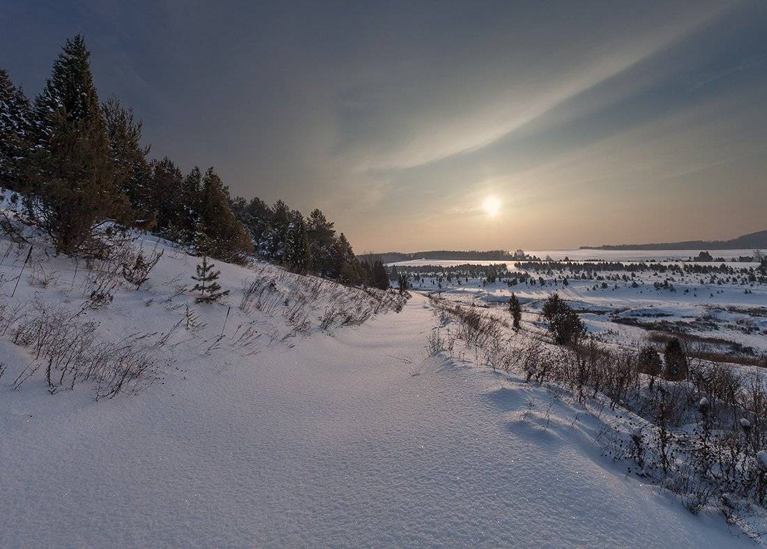 снег, целина, склоны, деревья, лес, солнце, вечер, зима, мороз, Георгий Машковцев