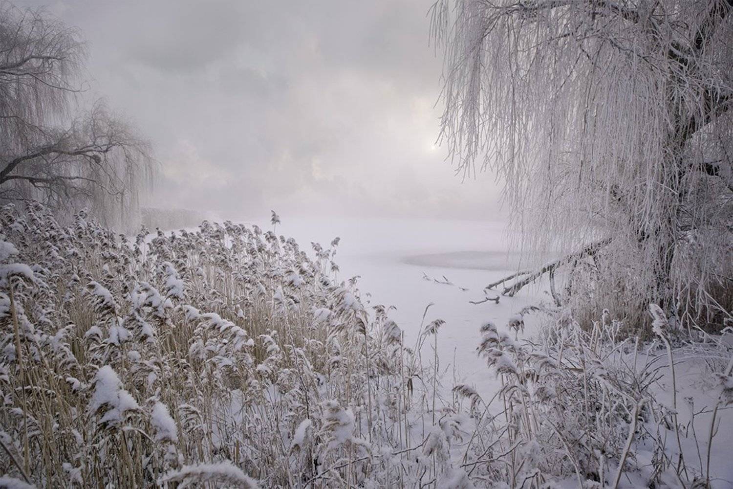 , Петр Антонович