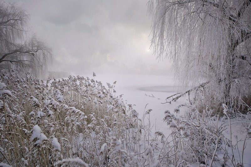 *** фото превью