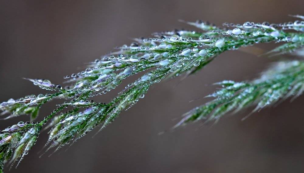 , Игорь ФУММ