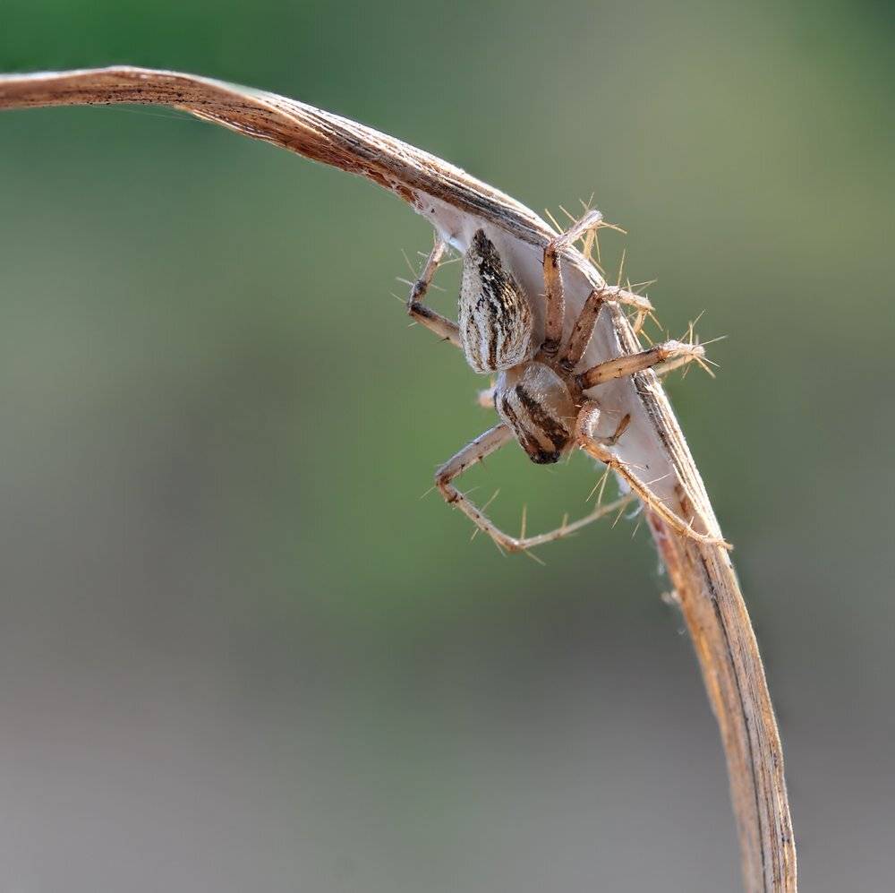 , Игорь ФУММ