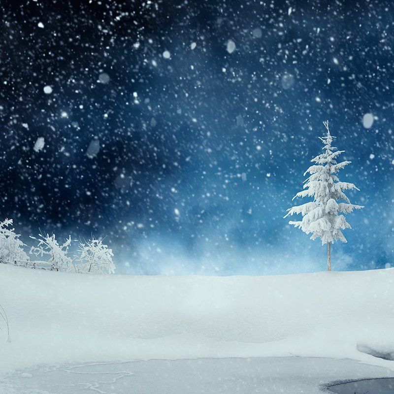 Blizzard фото превью