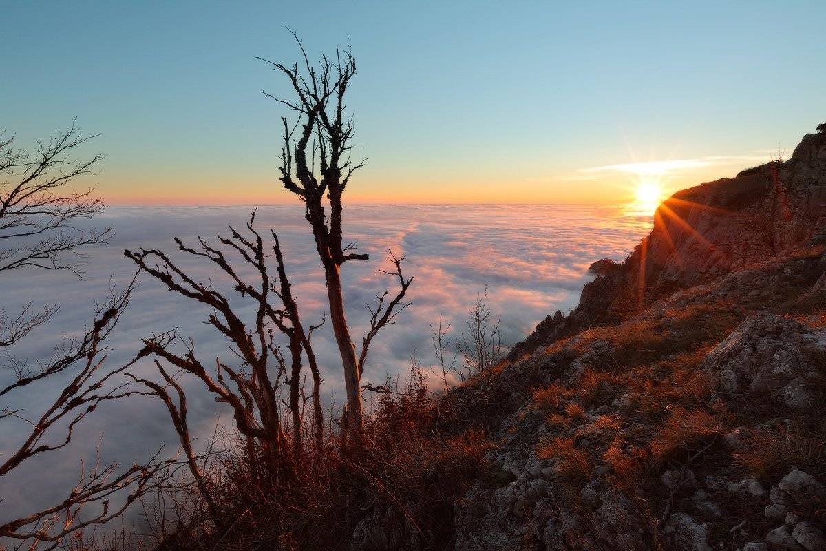 , Михаил Псарёв