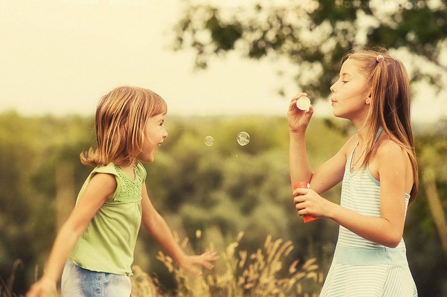 , Анна Середина