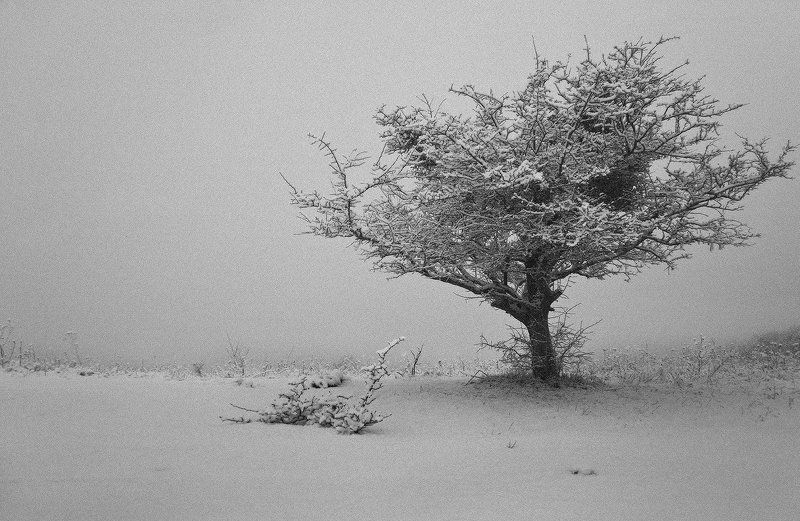 долина, даховской На краю снегопада... фото превью