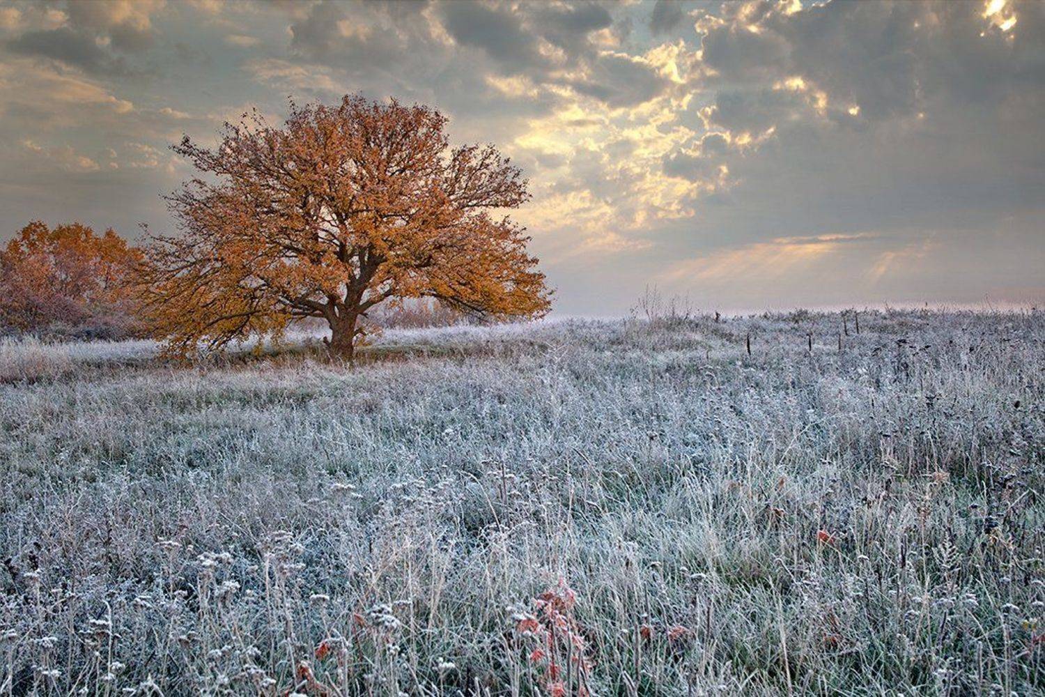 , Петр Антонович