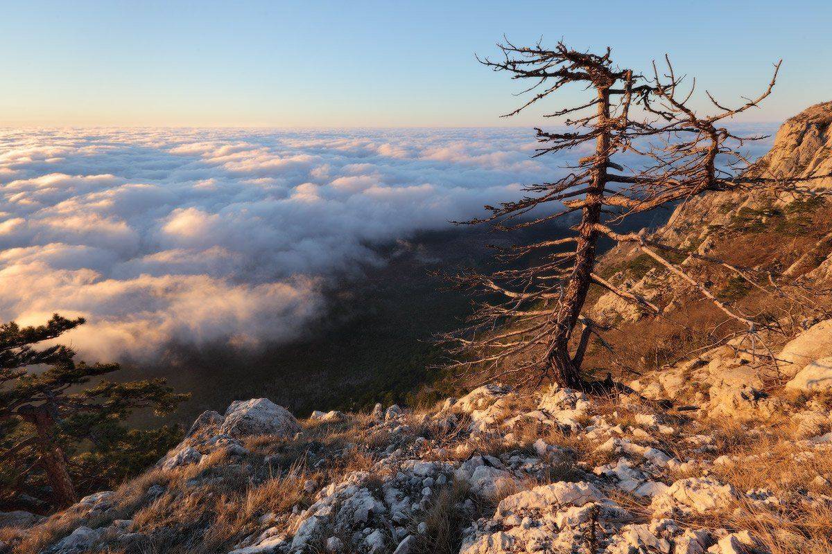 , Михаил Псарёв