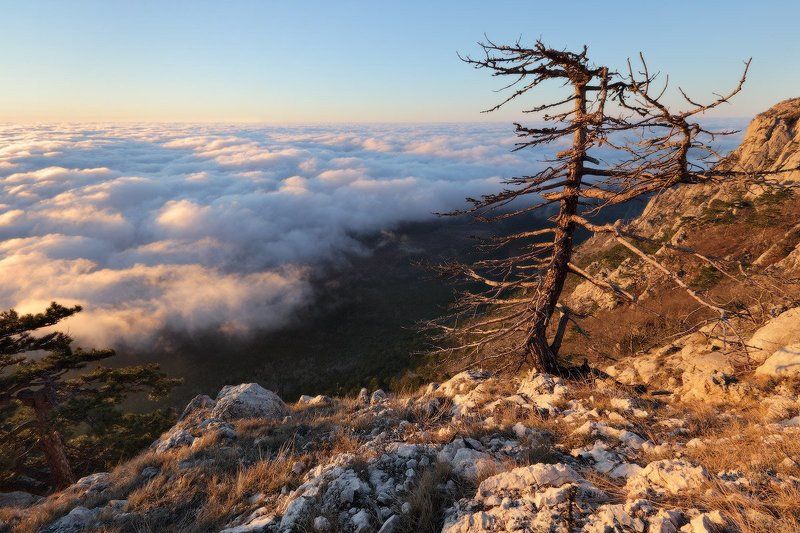 Утро в Крыму фото превью