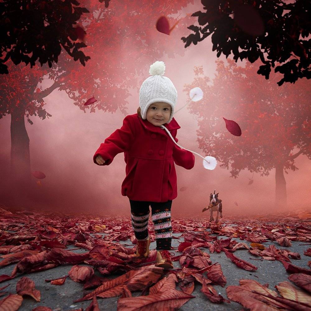 , Caras Ionut