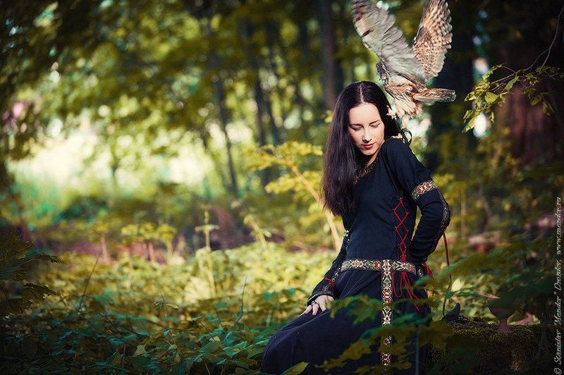 В лесу фото превью