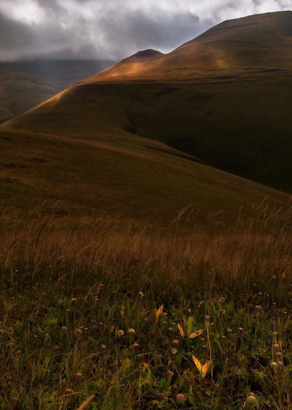 ***** фото превью