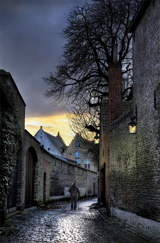 Evening Walk фото превью