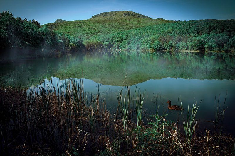 утро в крыму фото превью