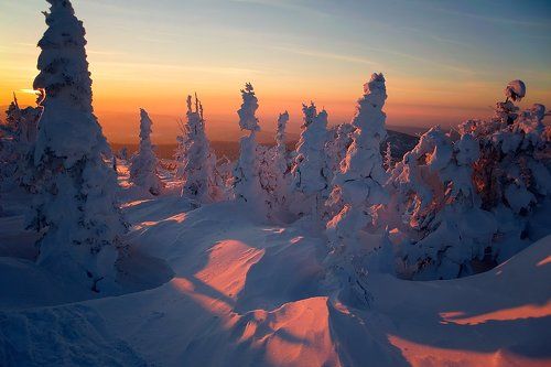 Этюд с рождественским настроением