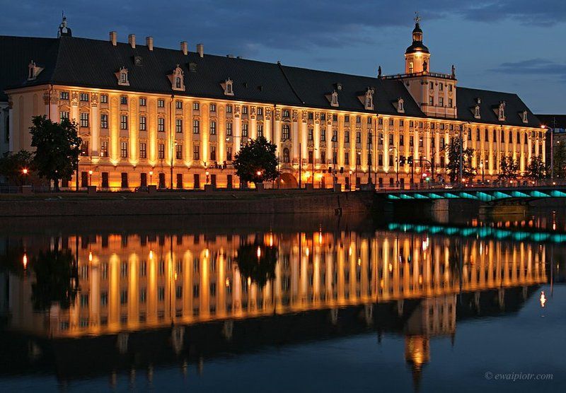 Seen University :) фото превью