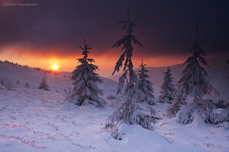 Закат в горах Карпатах фото превью