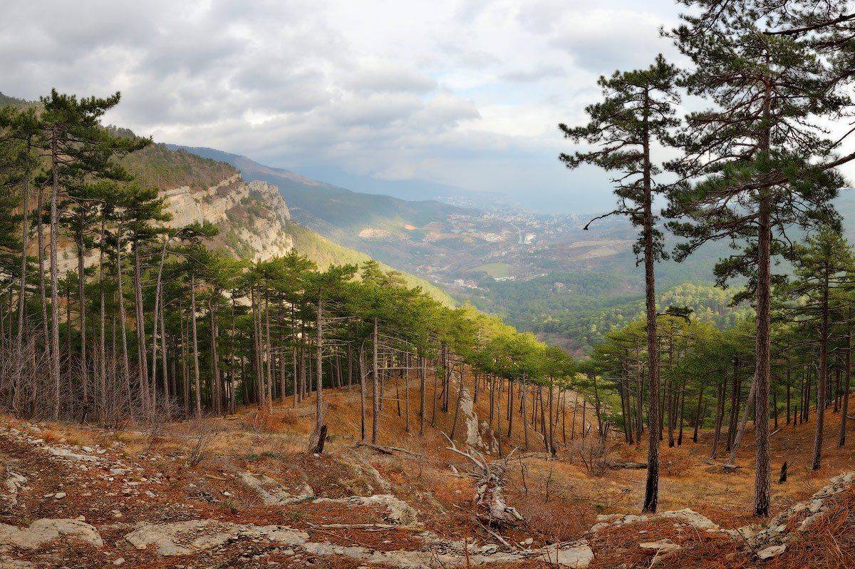 , Михаил Псарёв