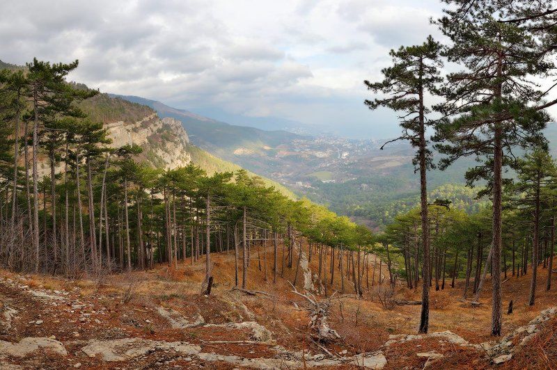 Начало января в Крыму фото превью