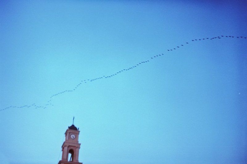 израиль time keepers фото превью