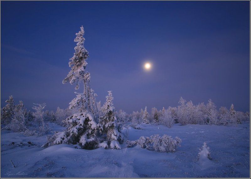 Кое что из старенького... фото превью